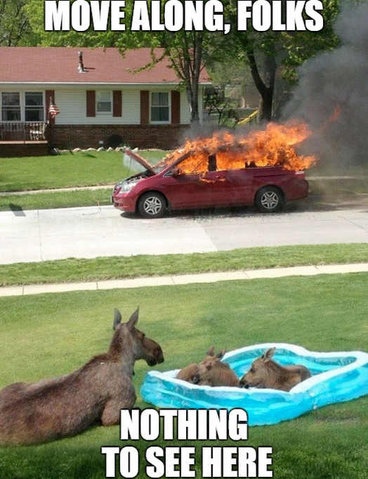 Nothing To See Here